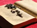 Różaniec i otwarta Biblia, symbol codzienna modlitwa do niepokalanej.