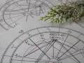 Złożone wykresy astrologiczne, kluczowe dla nauki o znakach zodiaku, leżą na stole, ozdobione gałązką.