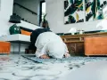 Kobieta w hidżabie klęczy na dywaniku, wykonując modlitwy o pokój. W tle widać nowoczesne wnętrze z dziełami sztuki.