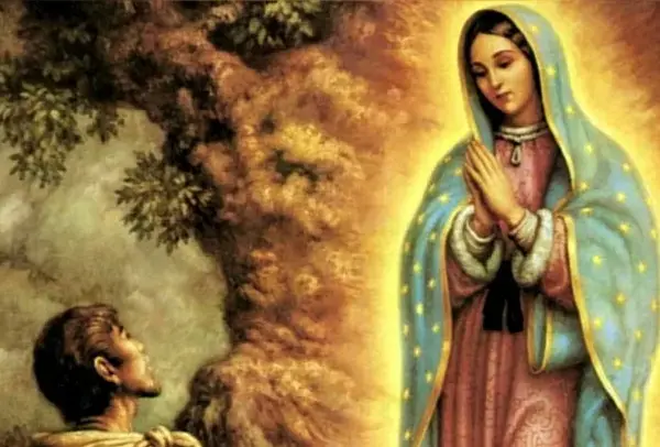 Obraz Matki Bożej z Guadalupe, z modlącym się Juanem Diego u stóp drzewa. Ciekawostki o tym cudownym wizerunku.