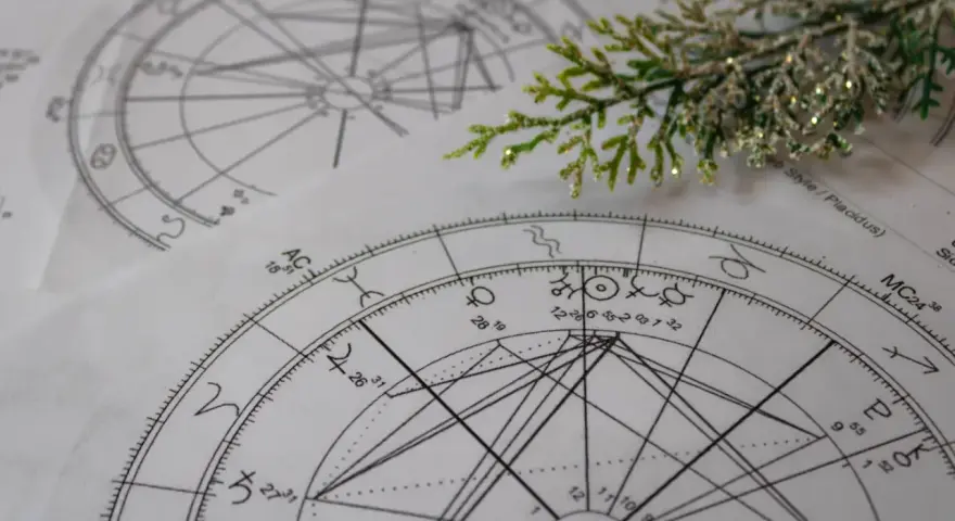 Złożone wykresy astrologiczne, kluczowe dla nauki o znakach zodiaku, leżą na stole, ozdobione gałązką.