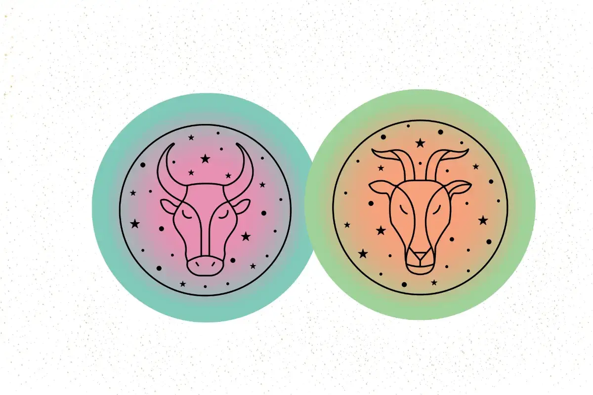Dwa okręgi z symbolami zodiaku: po lewej byk w różowym okręgu z gwiazdami, po prawej koziorożec w pomarańczowym okręgu.