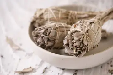 Pęczki białej szałwii w misie, gotowe do okadzania domu i modlitwy.